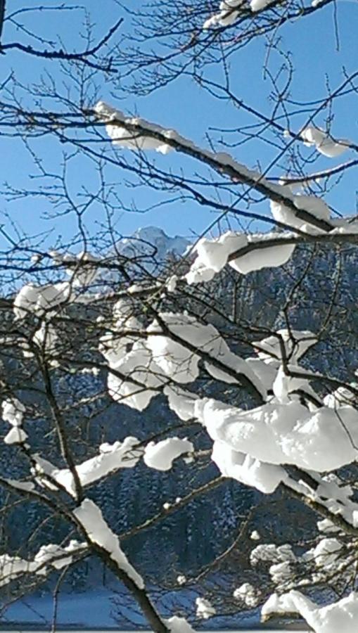 Fw Weissensee 44 Füssen Dış mekan fotoğraf