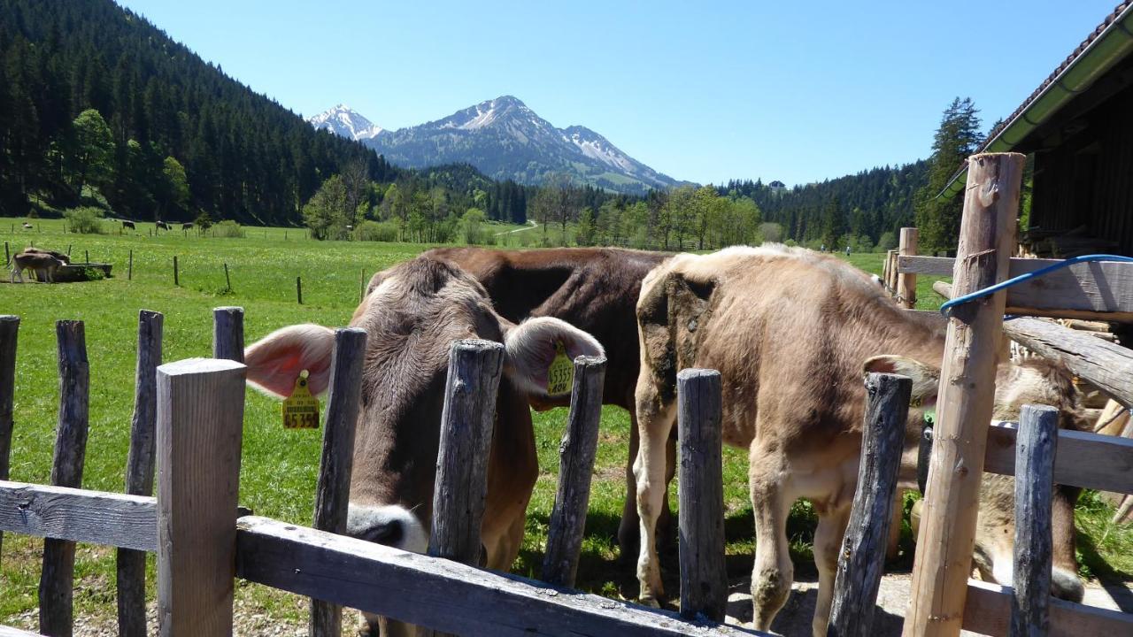 Fw Weissensee 44 Füssen Dış mekan fotoğraf