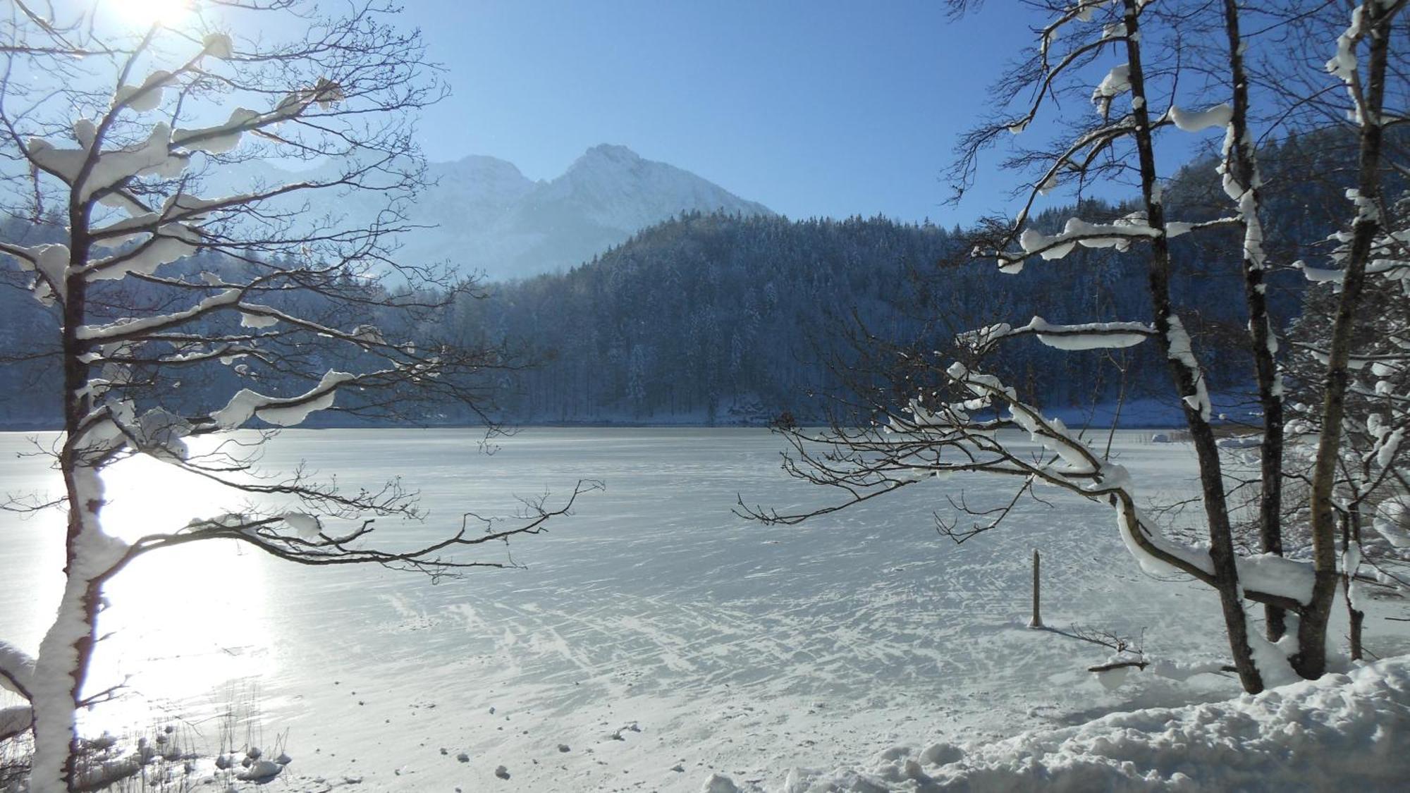 Fw Weissensee 44 Füssen Dış mekan fotoğraf