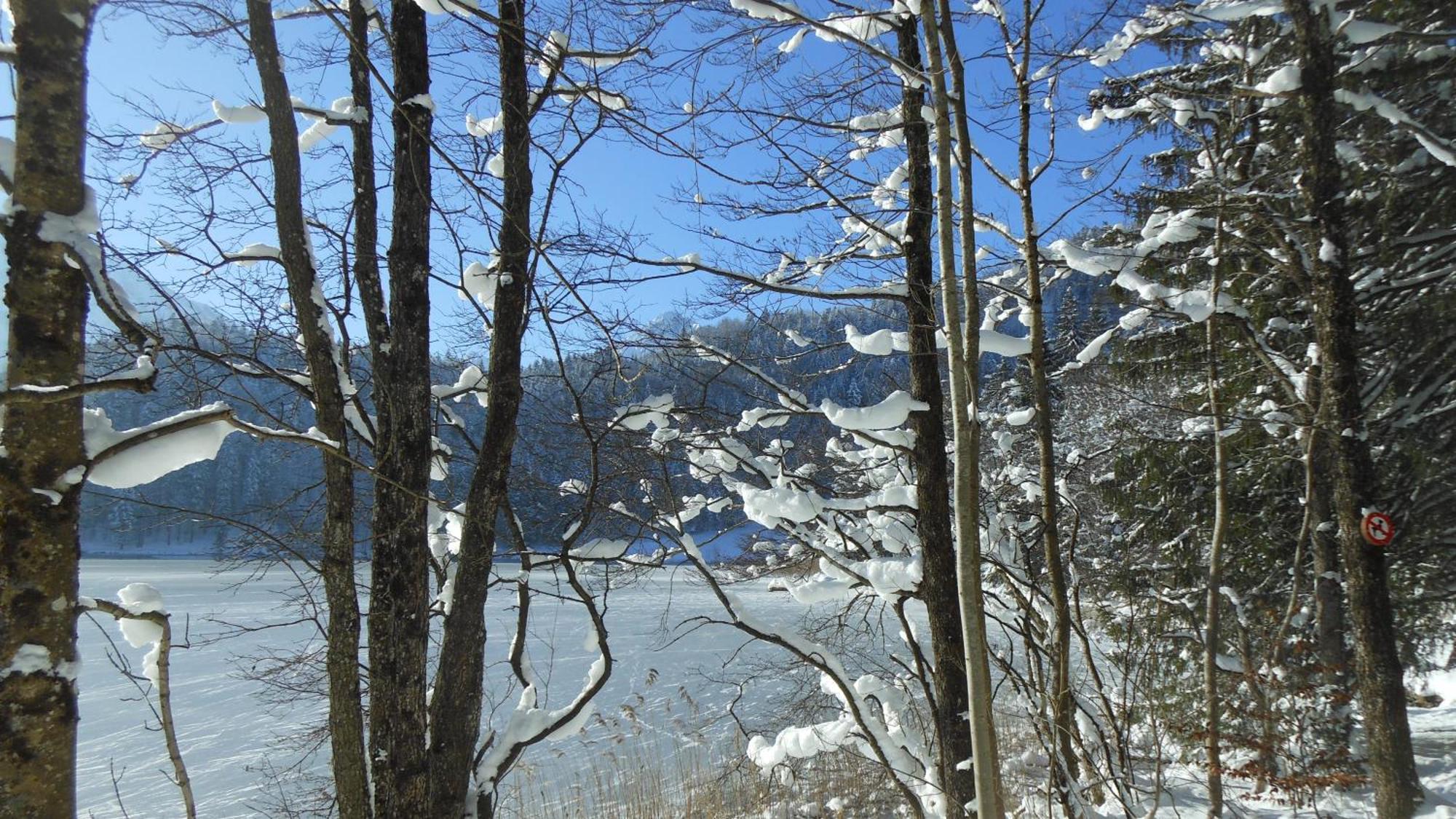 Fw Weissensee 44 Füssen Dış mekan fotoğraf